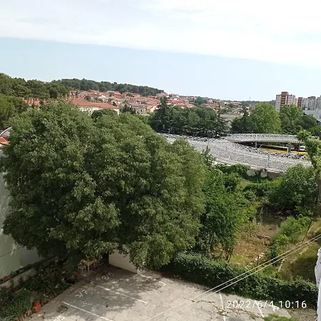 Todor