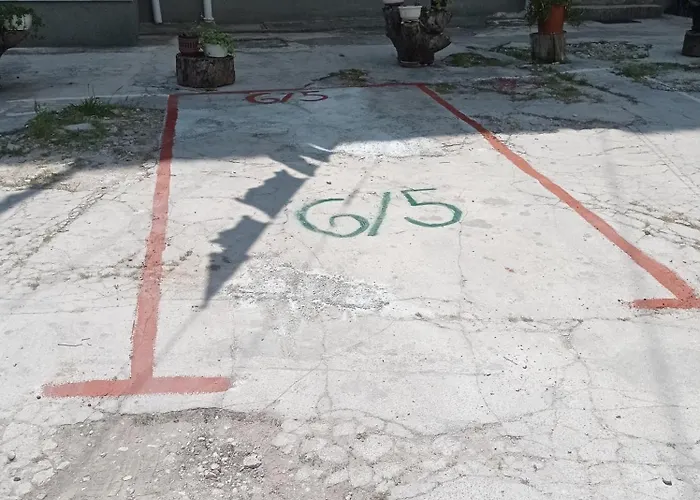 Todor * Pula