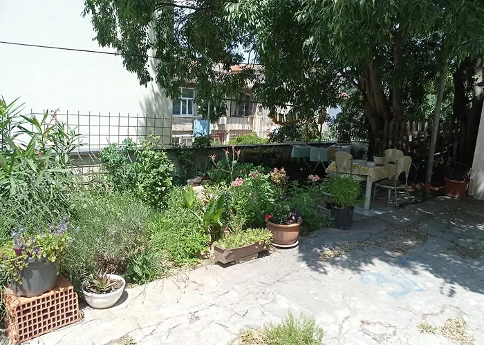 Apartmán Todor