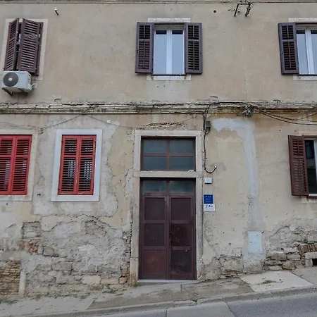 Todor Pola